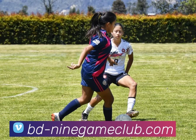 九游官方网站APP 封面图